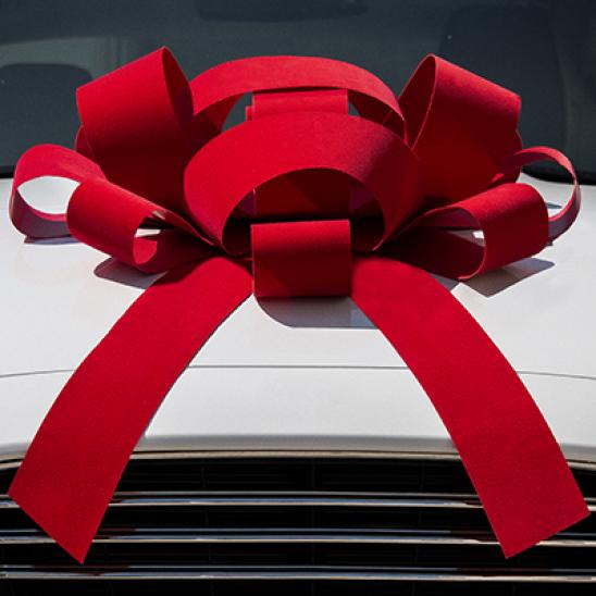 30 inch magnetic car bow   is your #1